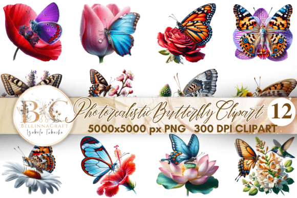 Download Photorealistic Butterfly Clipart PNG - Premium Bundle